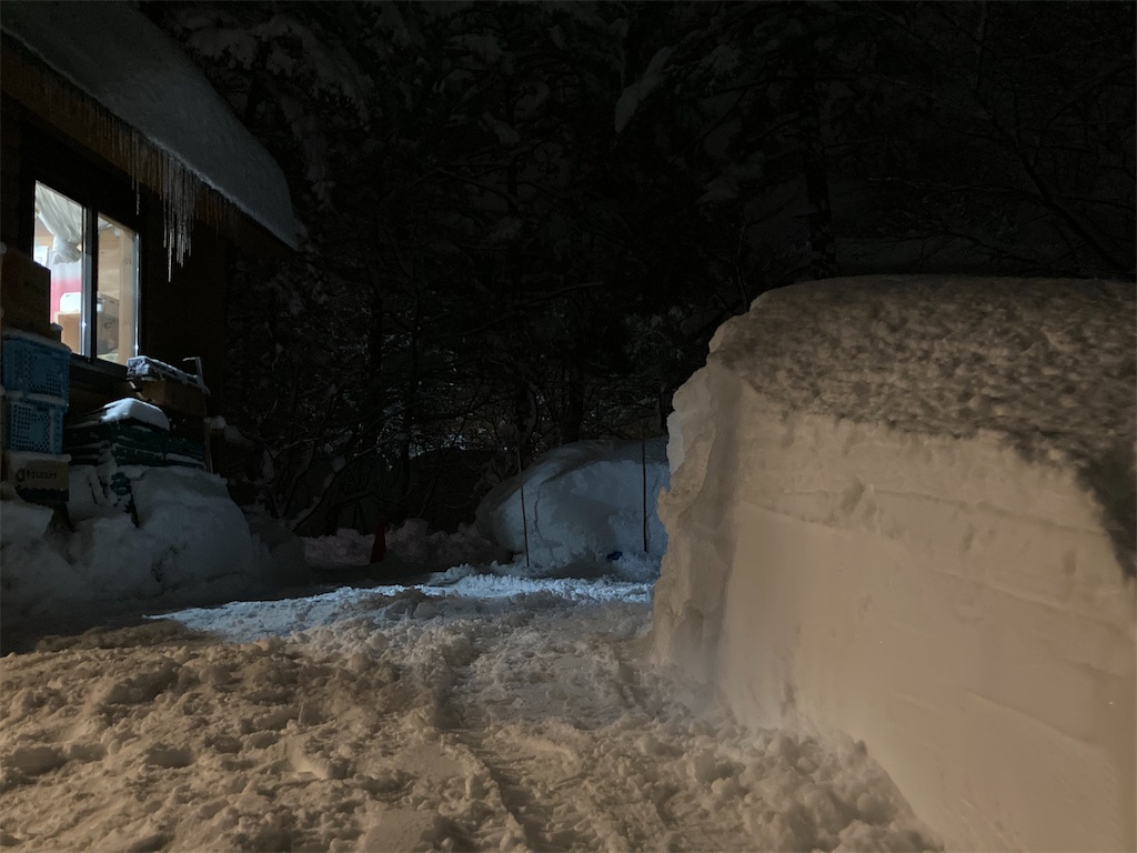 f:id:cactus-hakuba:20210111203725j:image f:id:cactus-hakuba:20210111203725j:image