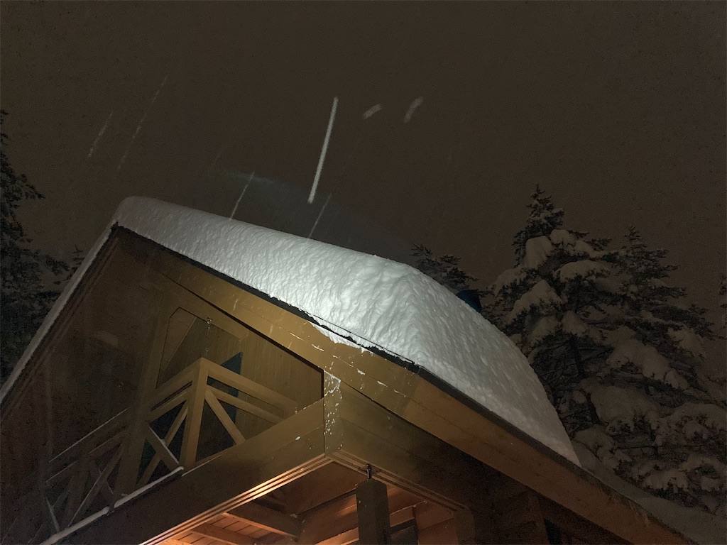 f:id:cactus-hakuba:20210111203732j:image f:id:cactus-hakuba:20210111203732j:image