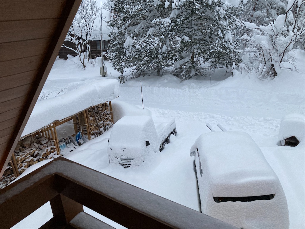f:id:cactus-hakuba:20210111203738j:image f:id:cactus-hakuba:20210111203738j:image