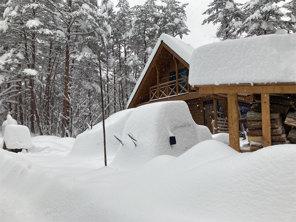 f:id:cactus-hakuba:20210111203743j:image f:id:cactus-hakuba:20210111203743j:image