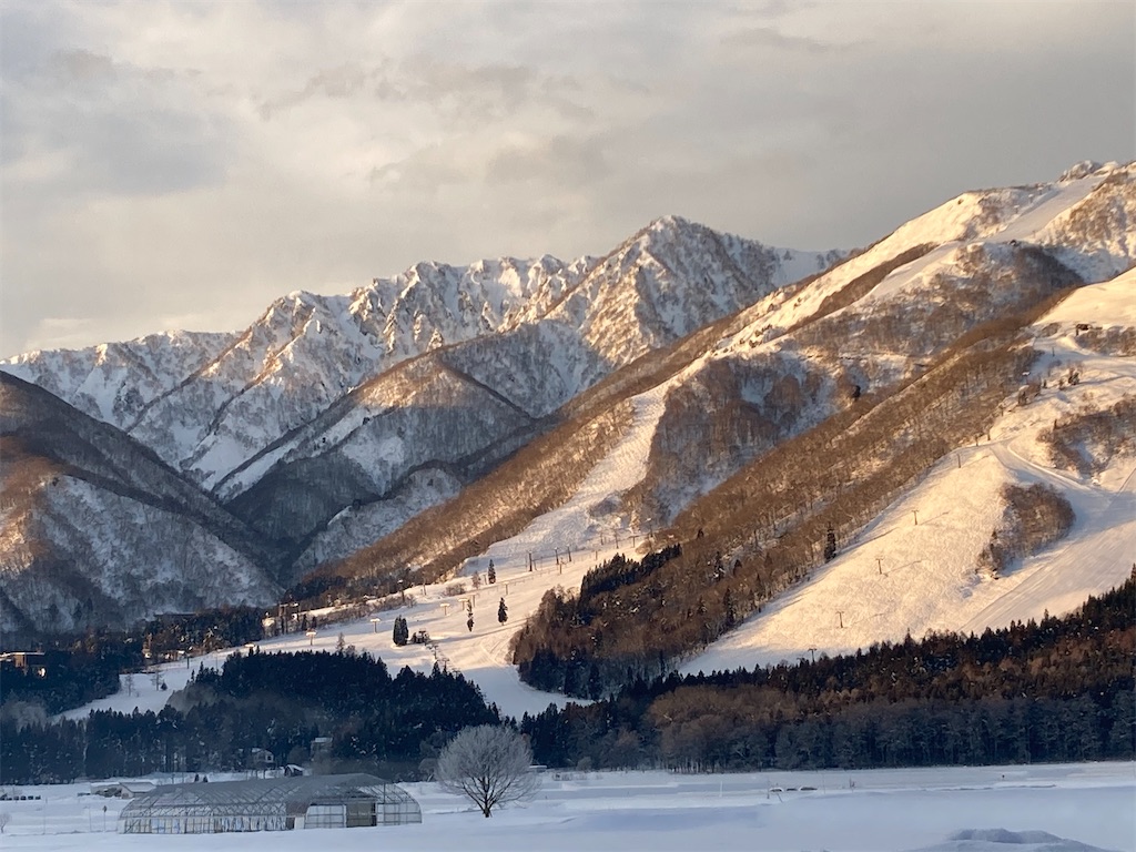 f:id:cactus-hakuba:20210111203754j:image f:id:cactus-hakuba:20210111203754j:image