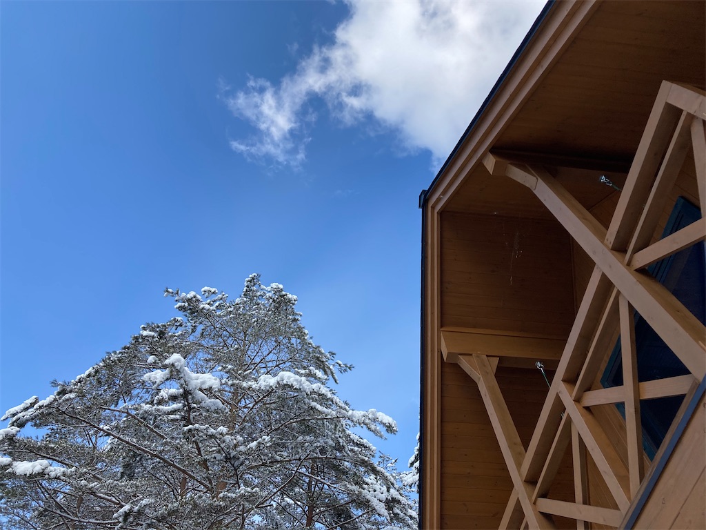 f:id:cactus-hakuba:20210111203807j:image f:id:cactus-hakuba:20210111203807j:image