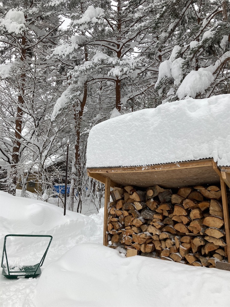 f:id:cactus-hakuba:20210111203847j:image f:id:cactus-hakuba:20210111203847j:image