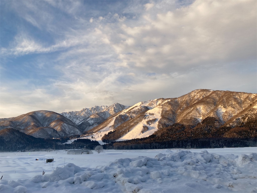 f:id:cactus-hakuba:20210111203905j:image f:id:cactus-hakuba:20210111203905j:image