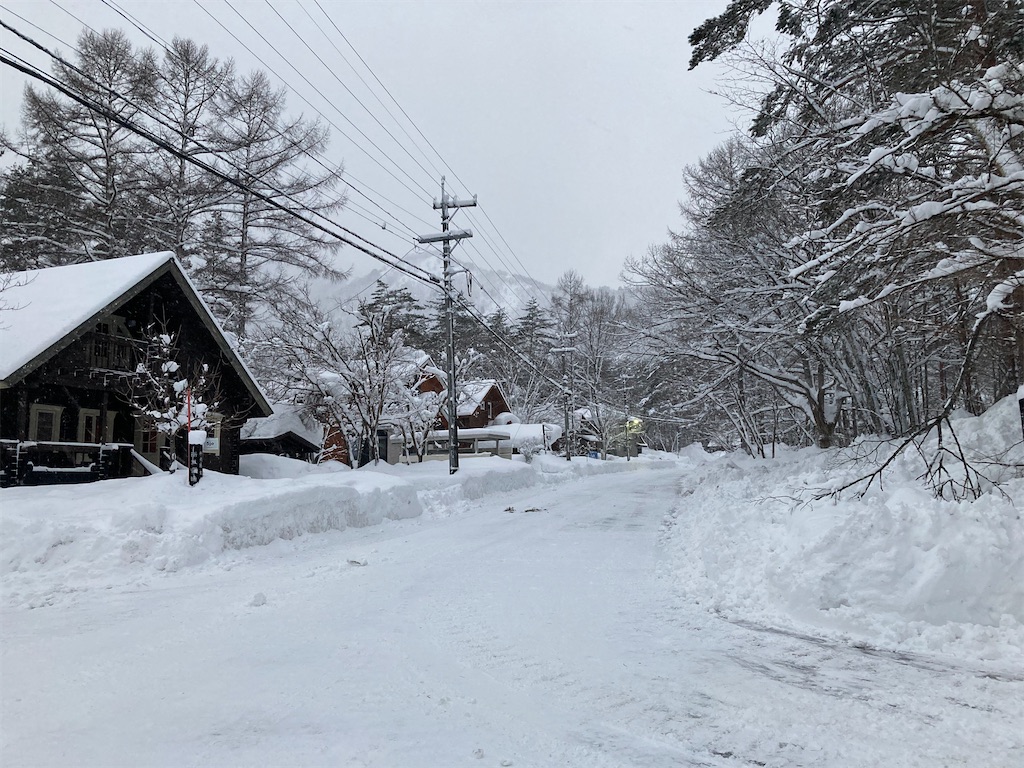 f:id:cactus-hakuba:20210210214924j:image f:id:cactus-hakuba:20210210214924j:image