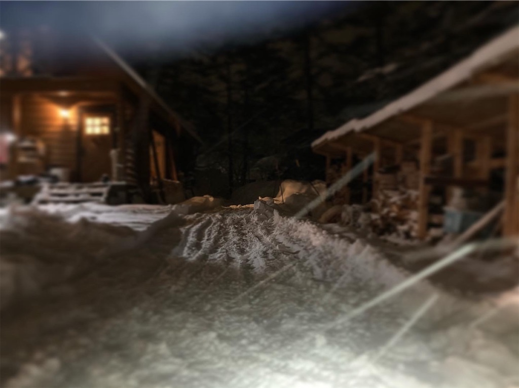 f:id:cactus-hakuba:20210210214931j:image f:id:cactus-hakuba:20210210214931j:image