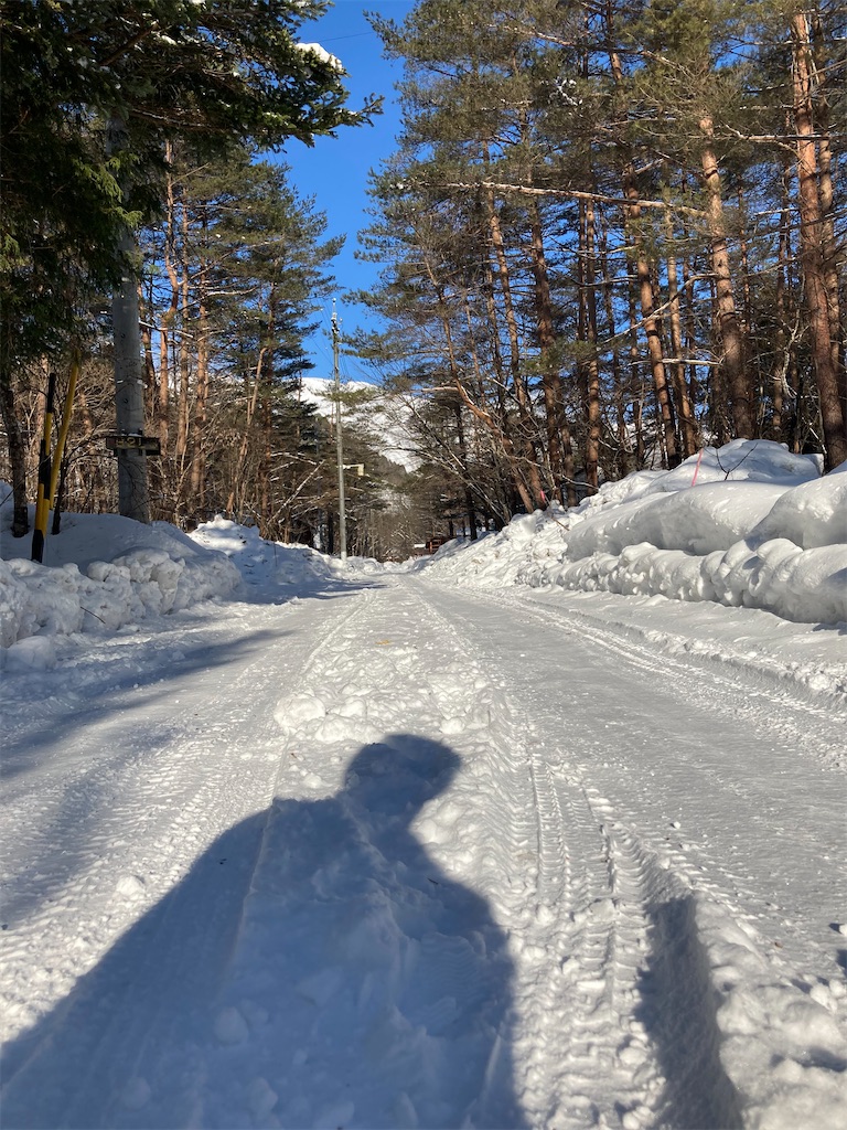 f:id:cactus-hakuba:20210210214944j:image f:id:cactus-hakuba:20210210214944j:image
