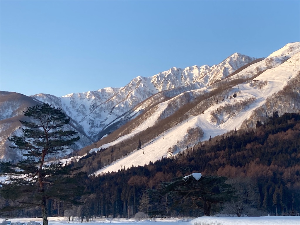 f:id:cactus-hakuba:20210210215004j:image f:id:cactus-hakuba:20210210215004j:image