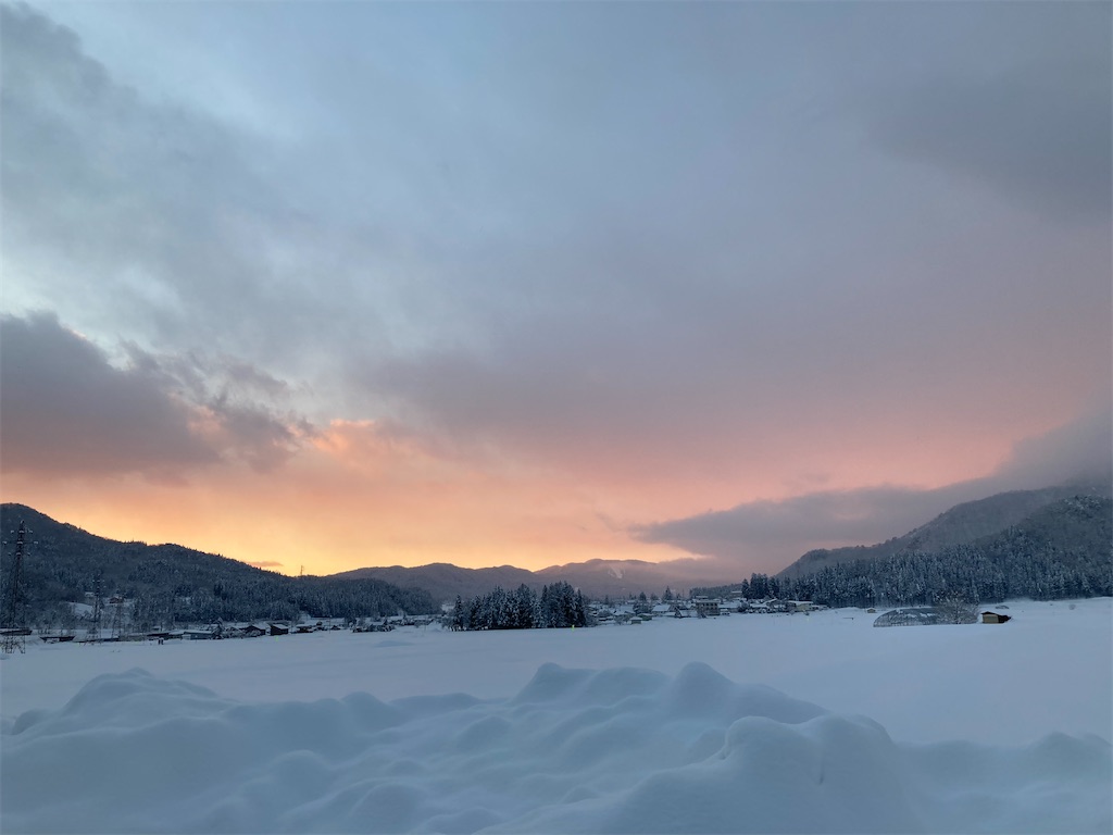 f:id:cactus-hakuba:20210210215014j:image f:id:cactus-hakuba:20210210215014j:image