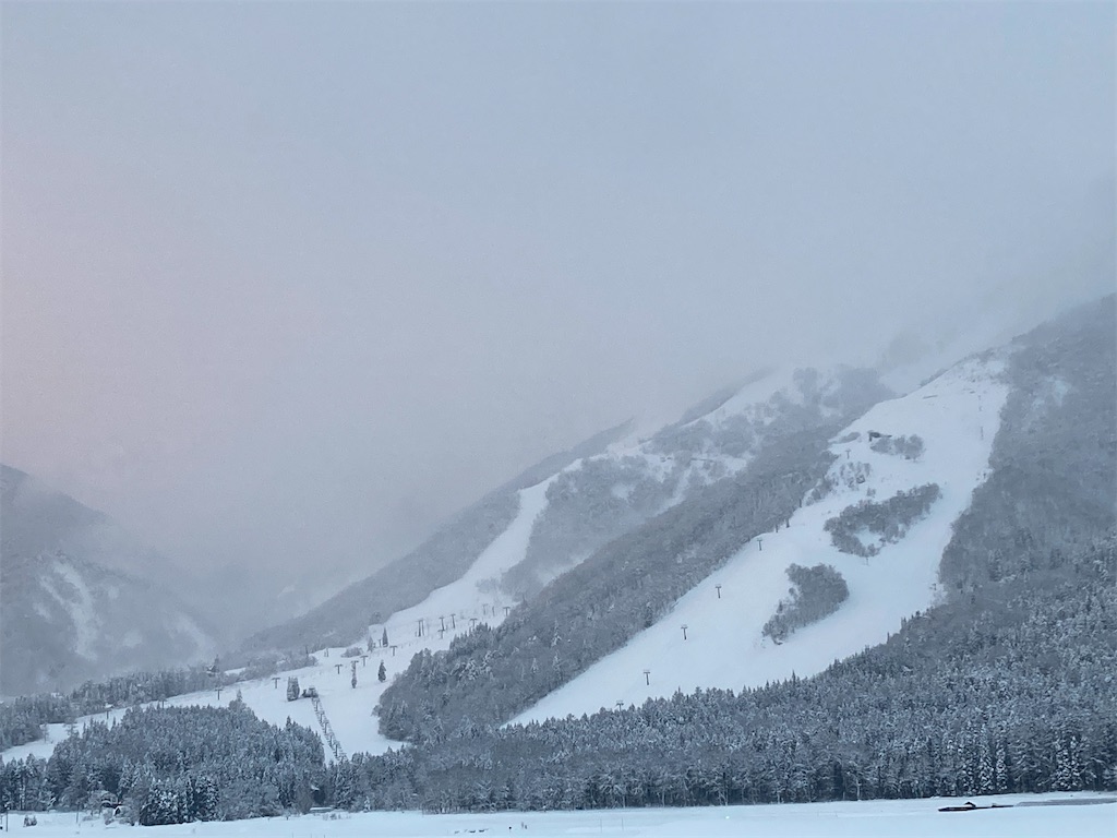 f:id:cactus-hakuba:20210210215017j:image f:id:cactus-hakuba:20210210215017j:image