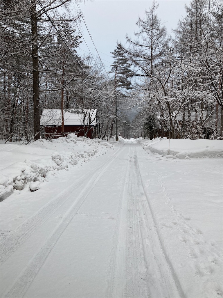 f:id:cactus-hakuba:20210210215025j:image f:id:cactus-hakuba:20210210215025j:image
