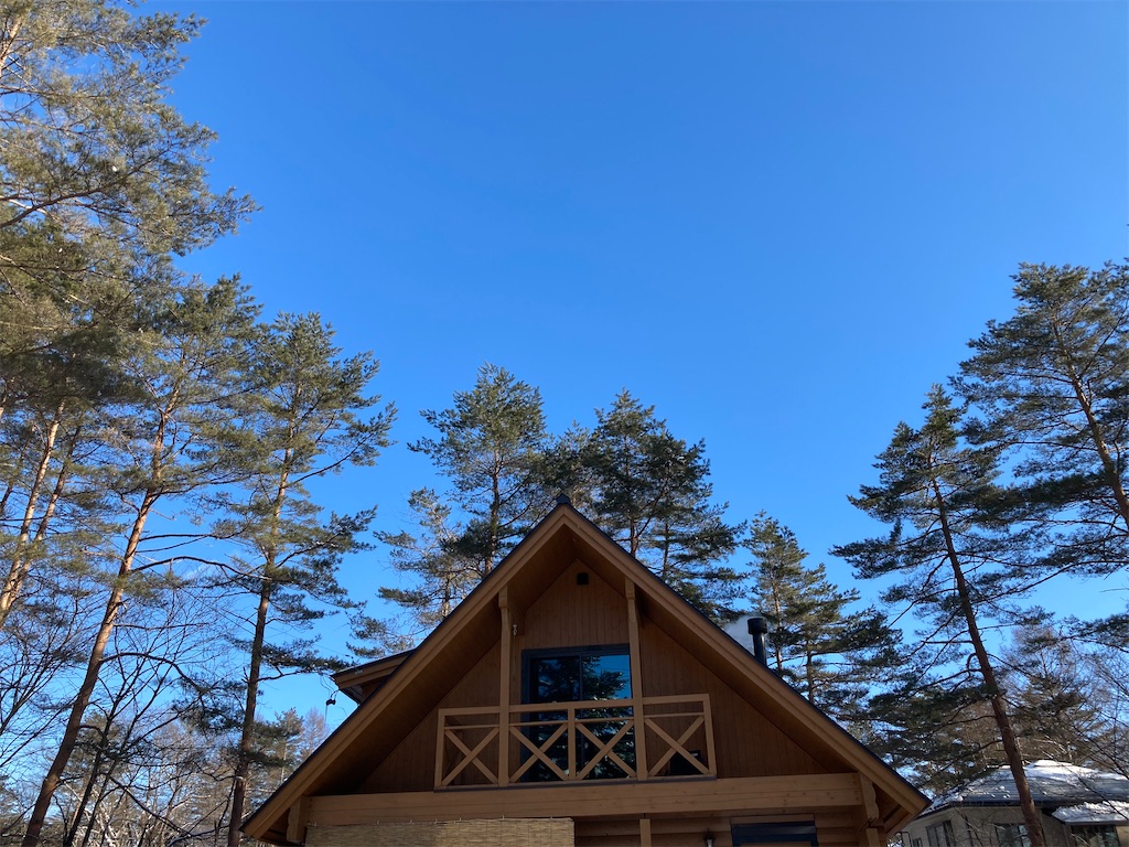 f:id:cactus-hakuba:20210210215053j:image f:id:cactus-hakuba:20210210215053j:image