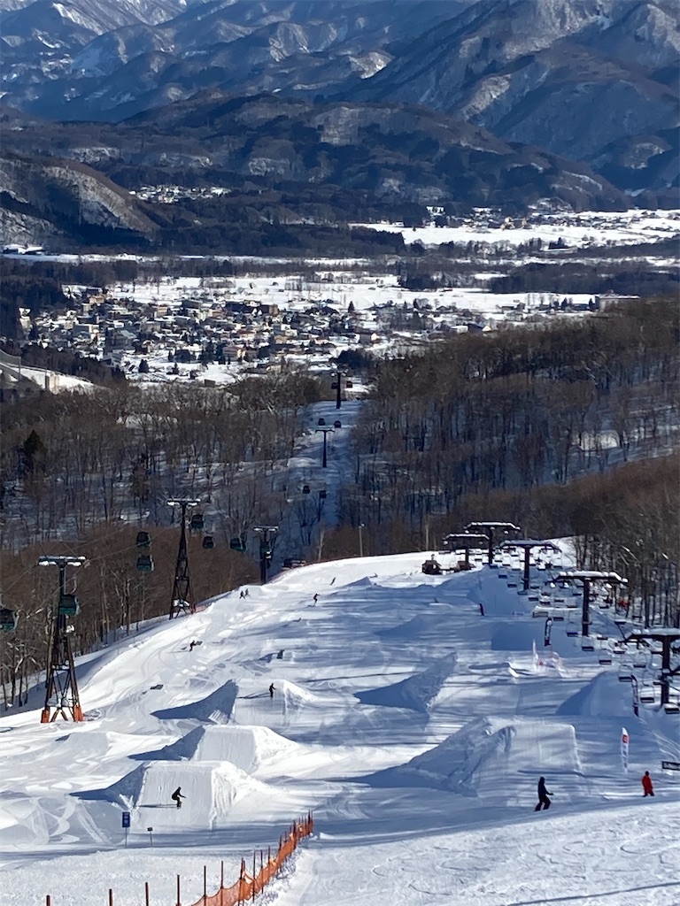 f:id:cactus-hakuba:20210210215101j:image f:id:cactus-hakuba:20210210215101j:image