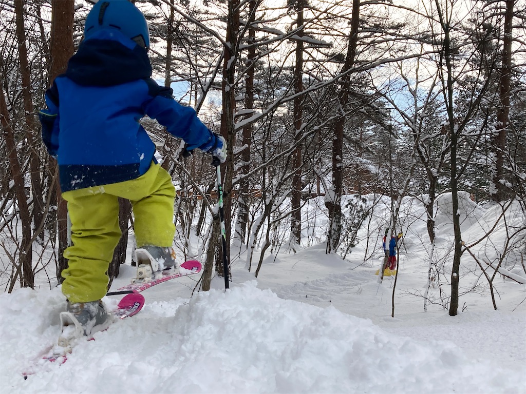 f:id:cactus-hakuba:20210210215105j:image f:id:cactus-hakuba:20210210215105j:image