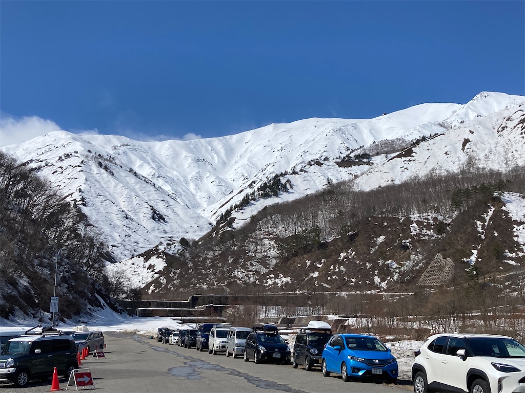f:id:cactus-hakuba:20210324205438j:image f:id:cactus-hakuba:20210324205438j:image
