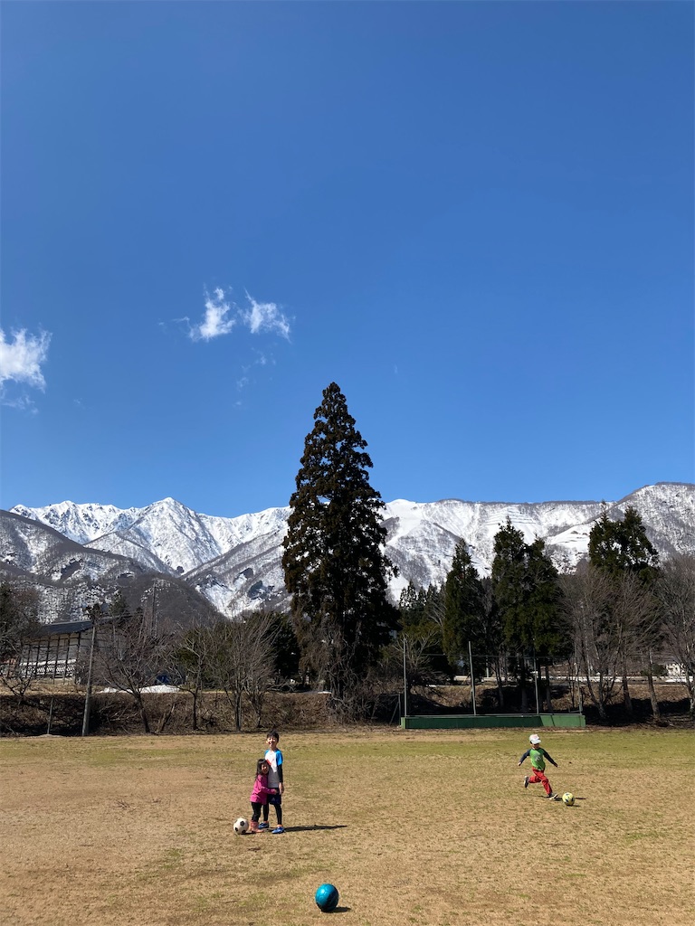 f:id:cactus-hakuba:20210324205443j:image f:id:cactus-hakuba:20210324205443j:image