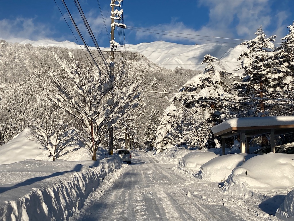 f:id:cactus-hakuba:20210324205447j:image f:id:cactus-hakuba:20210324205447j:image