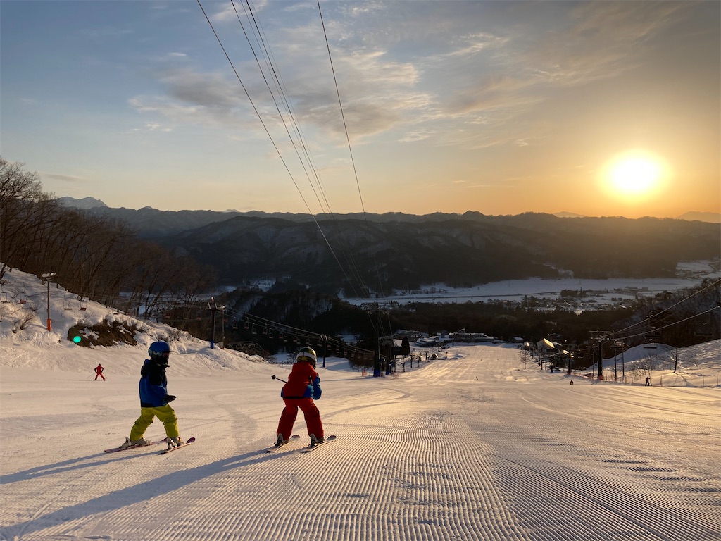 f:id:cactus-hakuba:20210324205456j:image f:id:cactus-hakuba:20210324205456j:image