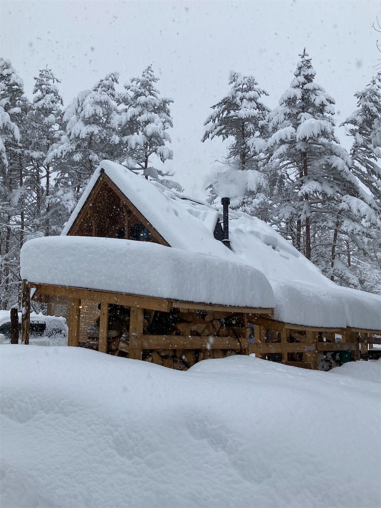 f:id:cactus-hakuba:20210324205507j:image f:id:cactus-hakuba:20210324205507j:image