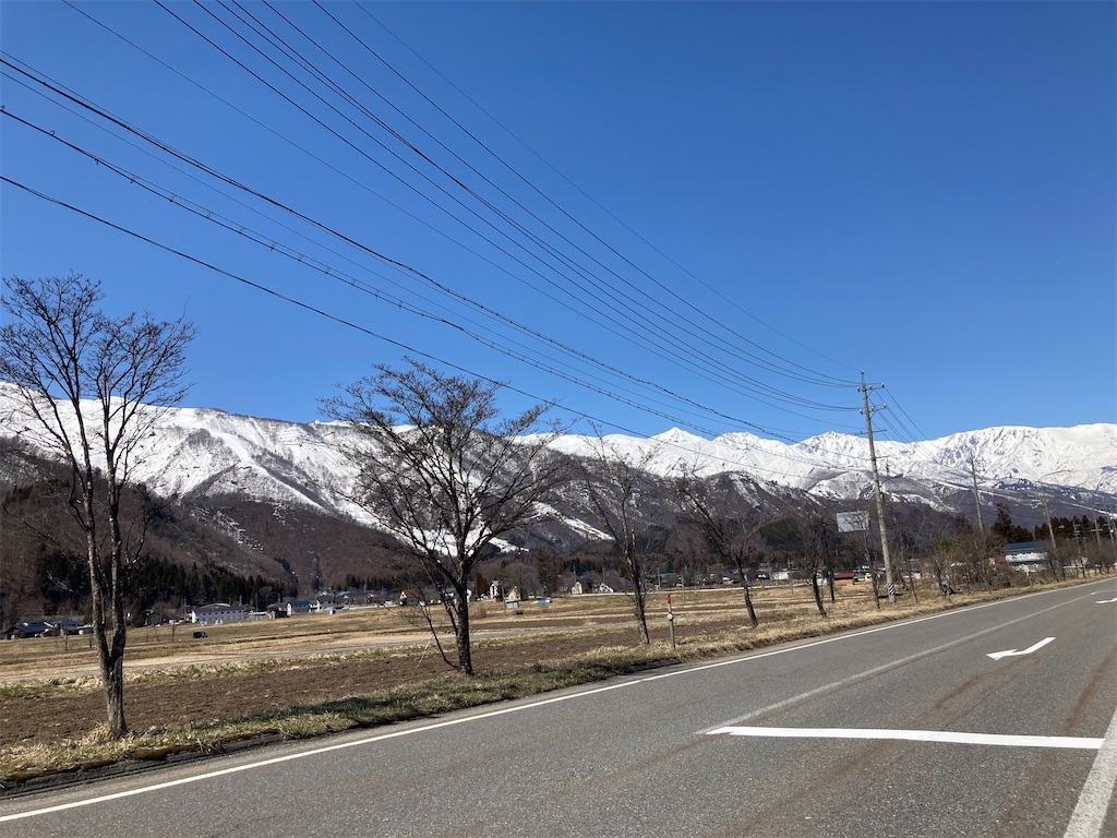 f:id:cactus-hakuba:20210324205513j:image f:id:cactus-hakuba:20210324205513j:image