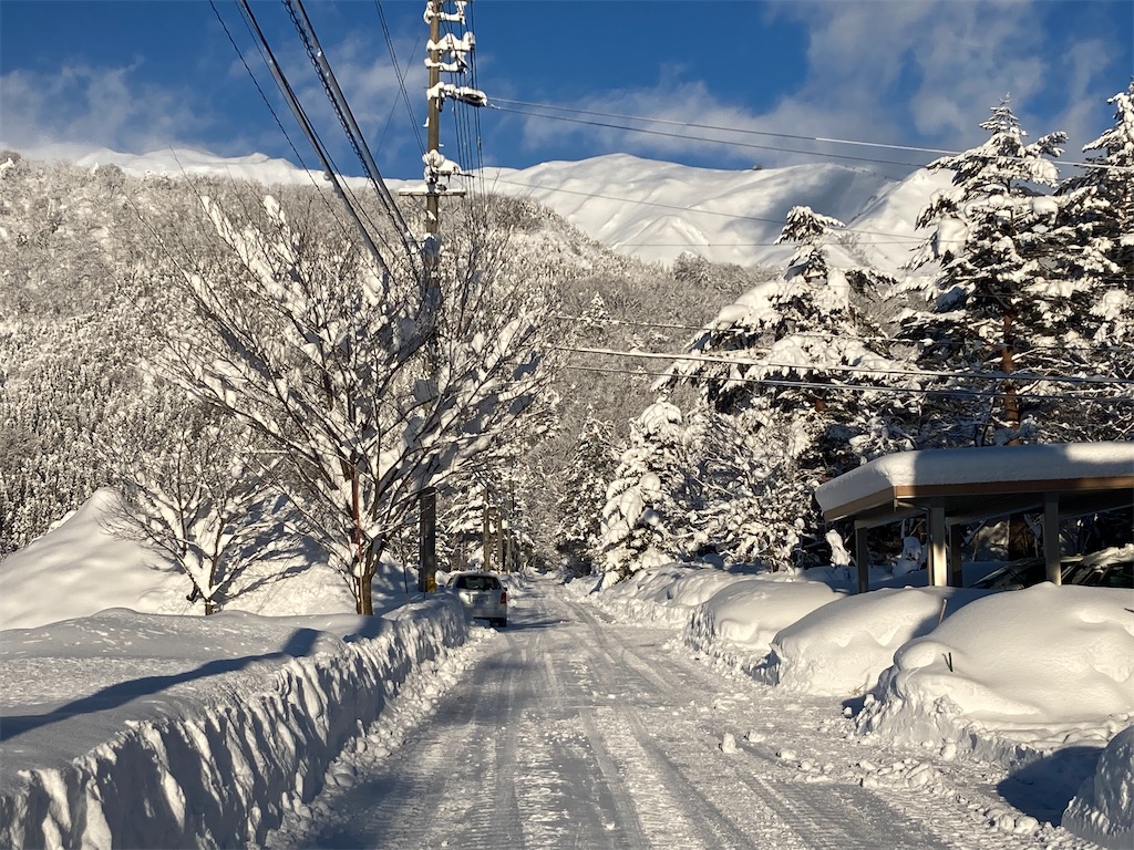 f:id:cactus-hakuba:20210324205518j:image f:id:cactus-hakuba:20210324205518j:image