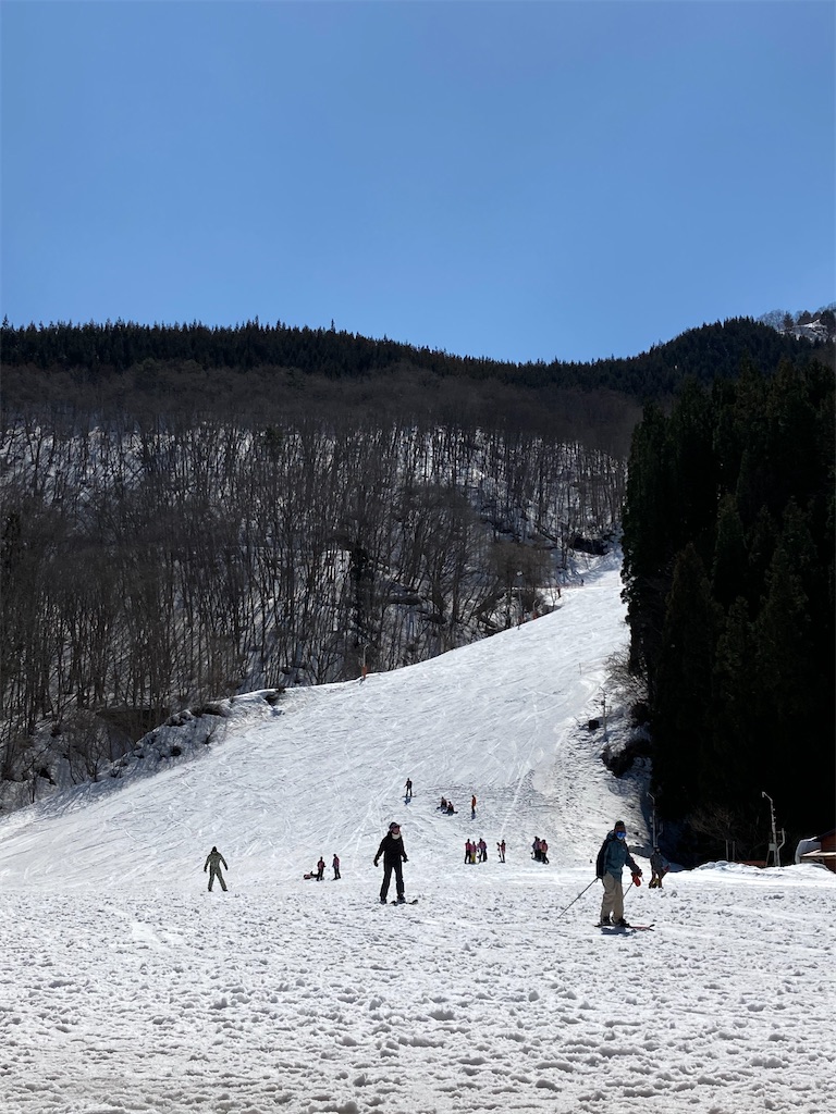 f:id:cactus-hakuba:20210324205523j:image f:id:cactus-hakuba:20210324205523j:image