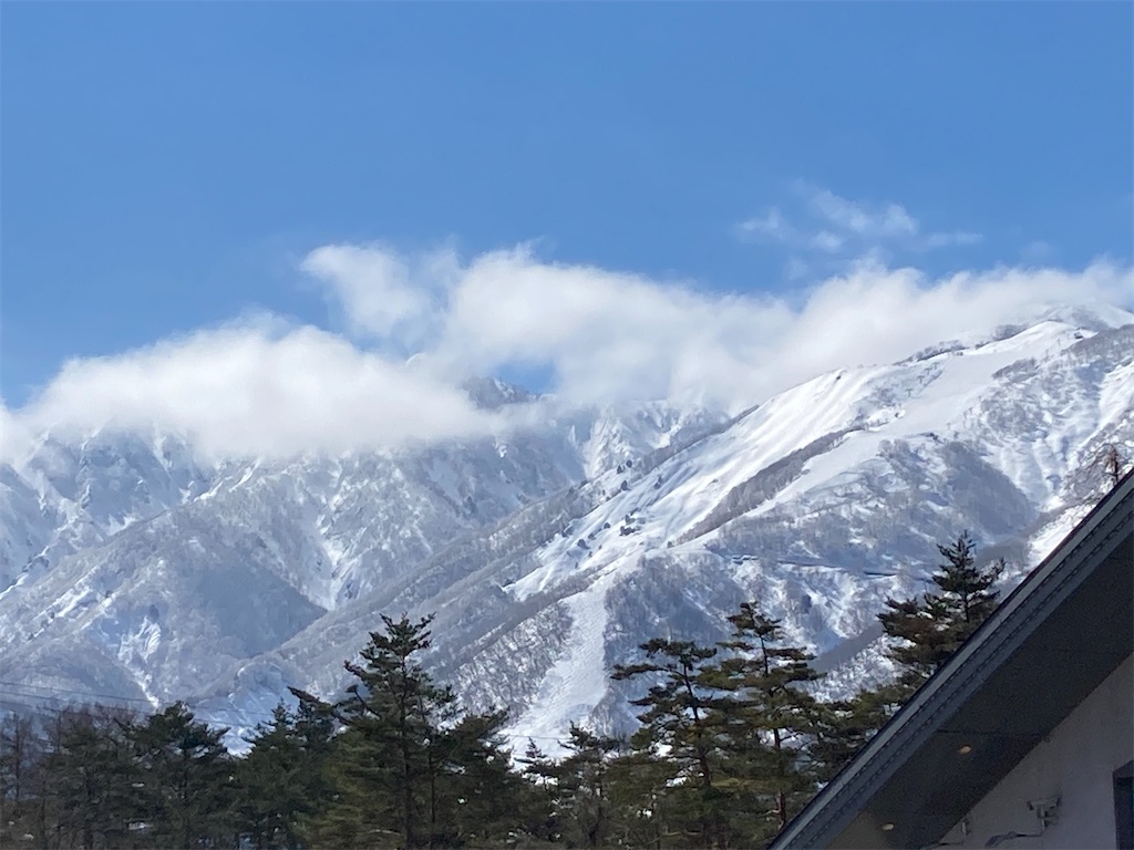 f:id:cactus-hakuba:20210324205527j:image f:id:cactus-hakuba:20210324205527j:image