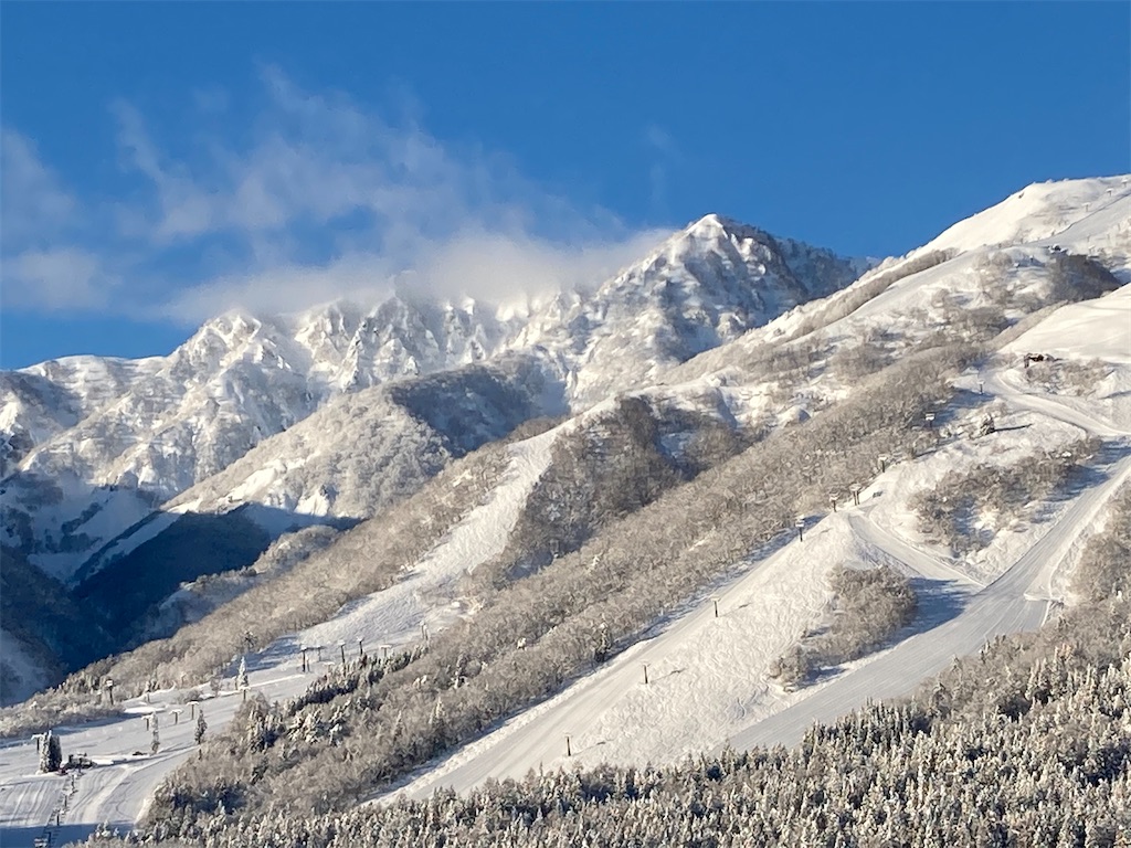 f:id:cactus-hakuba:20210324205552j:image f:id:cactus-hakuba:20210324205552j:image