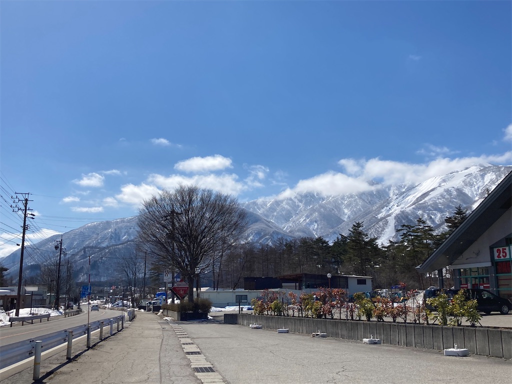 f:id:cactus-hakuba:20210324205555j:image f:id:cactus-hakuba:20210324205555j:image