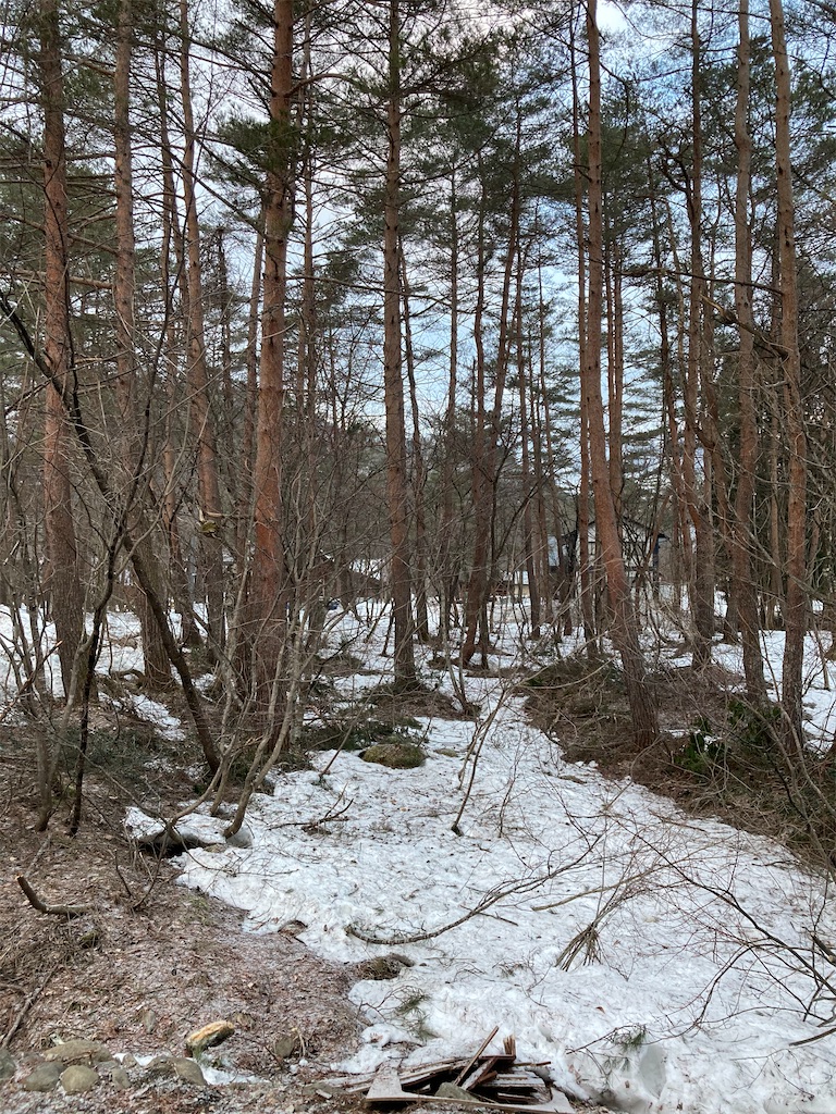 f:id:cactus-hakuba:20210324205610j:image f:id:cactus-hakuba:20210324205610j:image