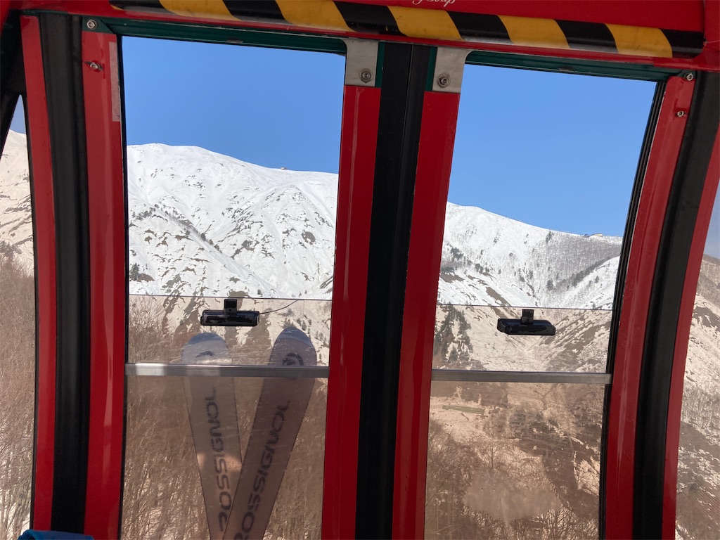 f:id:cactus-hakuba:20210324205614j:image f:id:cactus-hakuba:20210324205614j:image