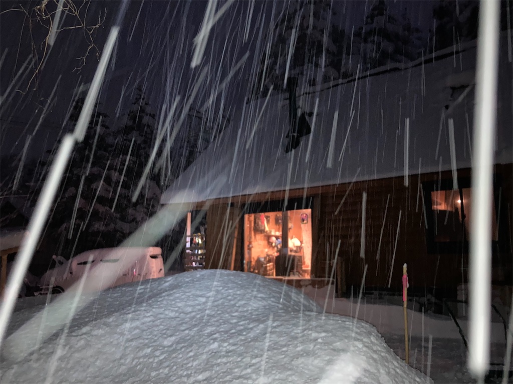 f:id:cactus-hakuba:20210324205623j:image f:id:cactus-hakuba:20210324205623j:image