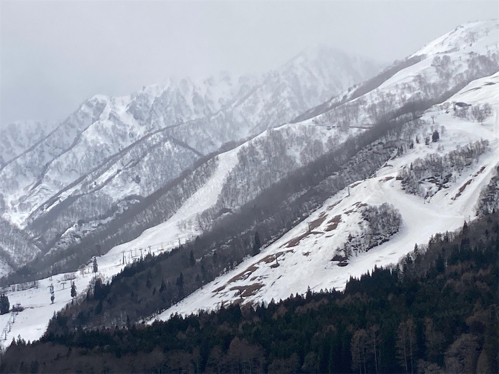 f:id:cactus-hakuba:20210324205650j:image f:id:cactus-hakuba:20210324205650j:image