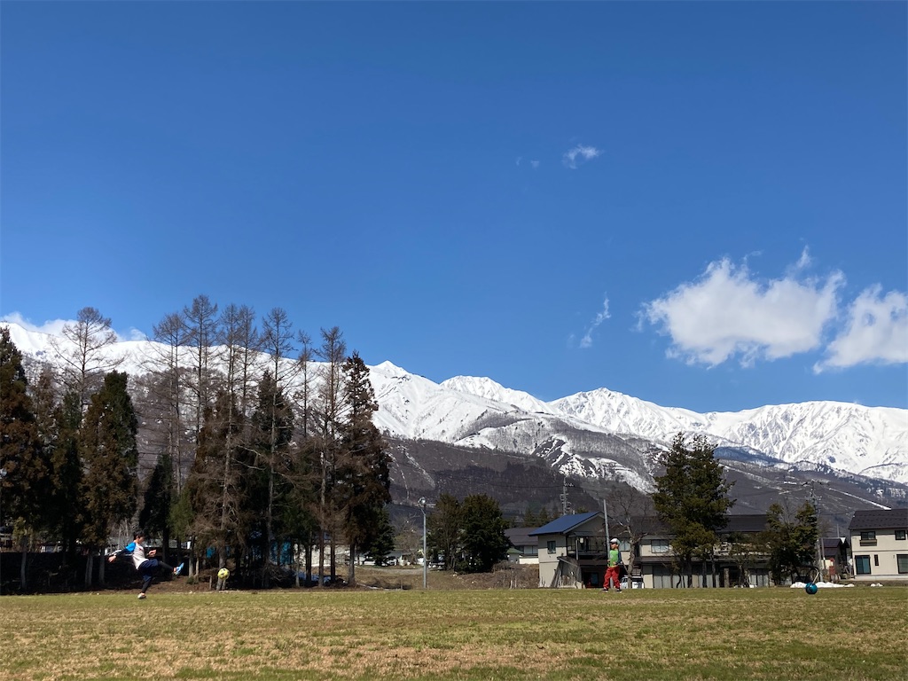 f:id:cactus-hakuba:20210324205656j:image f:id:cactus-hakuba:20210324205656j:image