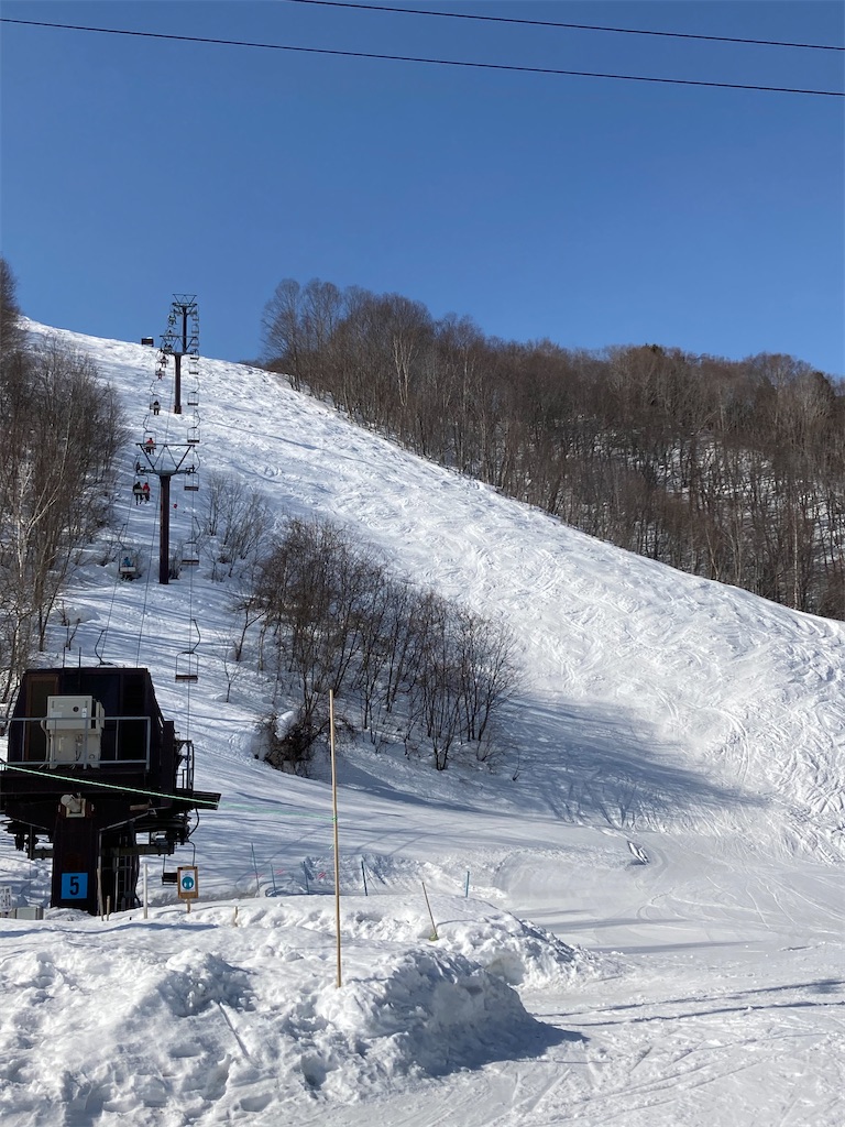 f:id:cactus-hakuba:20210324205704j:image f:id:cactus-hakuba:20210324205704j:image