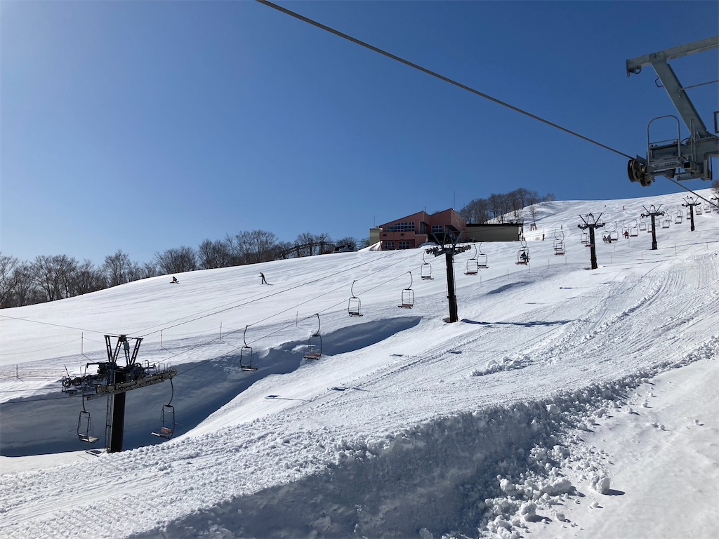 f:id:cactus-hakuba:20210324205707j:image f:id:cactus-hakuba:20210324205707j:image