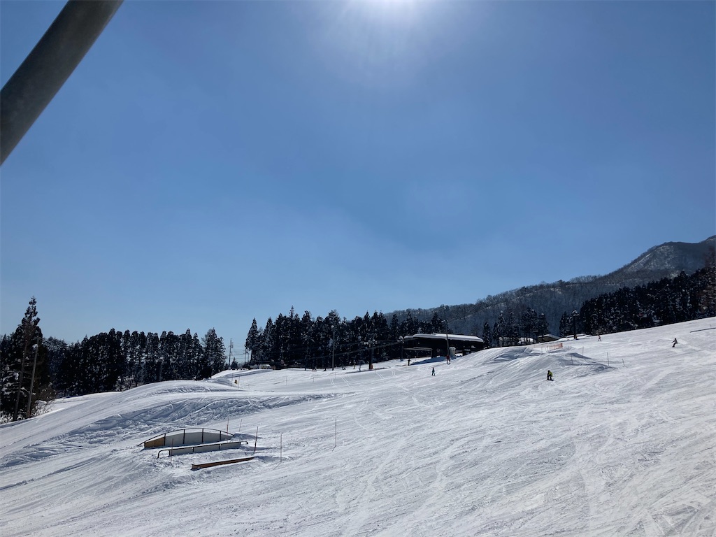 f:id:cactus-hakuba:20210324205721j:image f:id:cactus-hakuba:20210324205721j:image