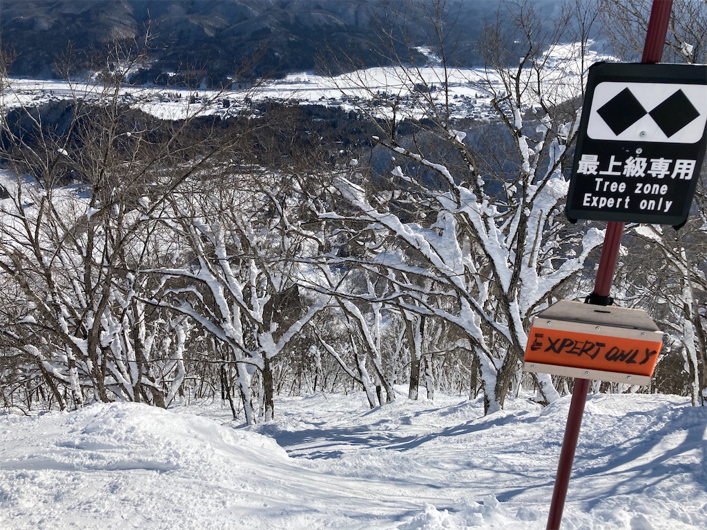 f:id:cactus-hakuba:20210324205725j:image f:id:cactus-hakuba:20210324205725j:image