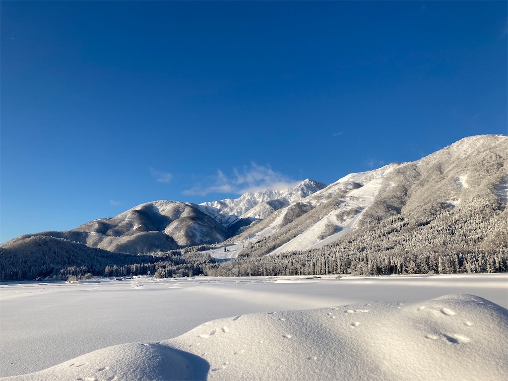 f:id:cactus-hakuba:20210324205739j:image f:id:cactus-hakuba:20210324205739j:image