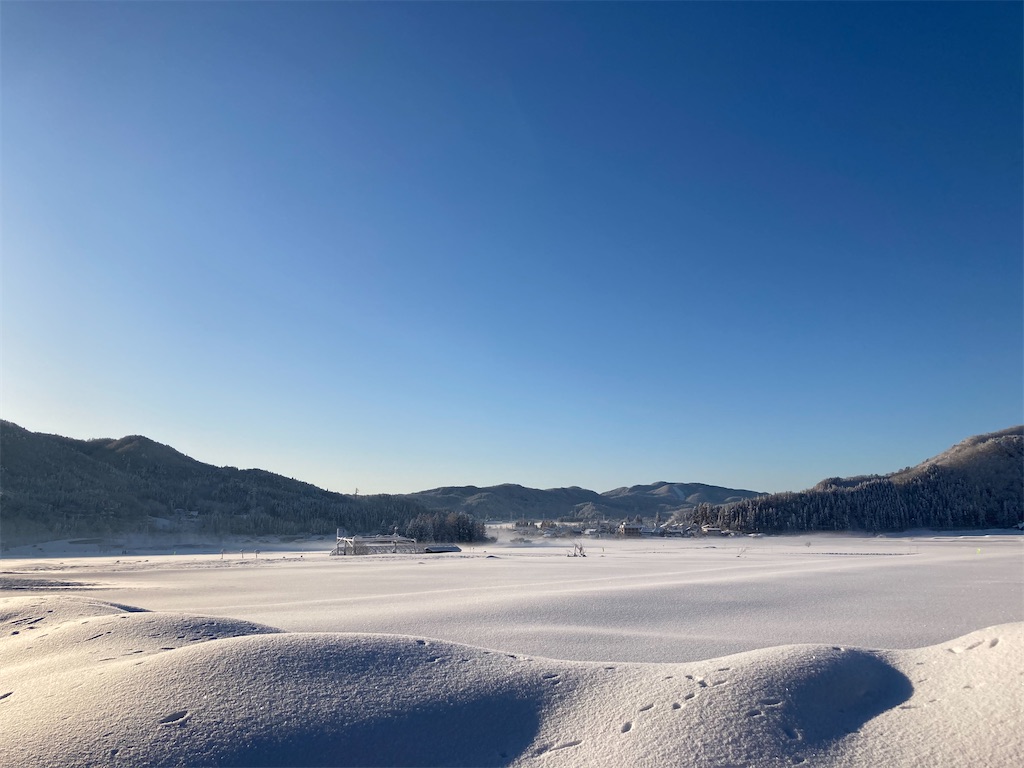 f:id:cactus-hakuba:20210324205743j:image f:id:cactus-hakuba:20210324205743j:image