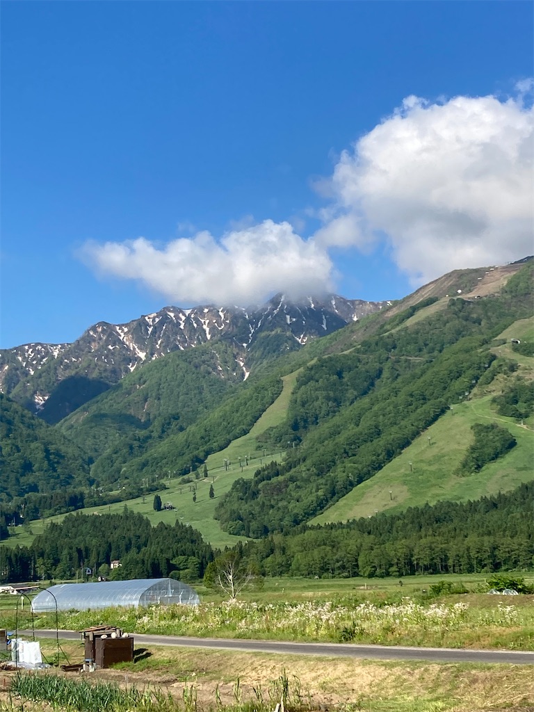 f:id:cactus-hakuba:20210626210846j:image f:id:cactus-hakuba:20210626210846j:image