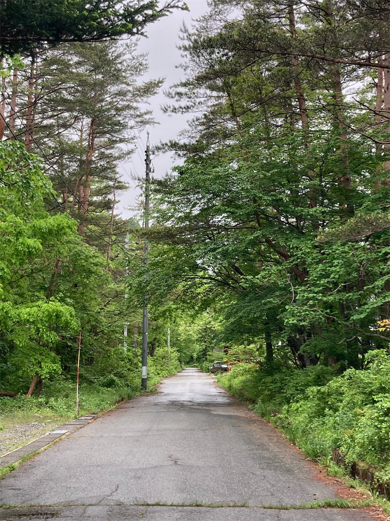f:id:cactus-hakuba:20210626210904j:image f:id:cactus-hakuba:20210626210904j:image