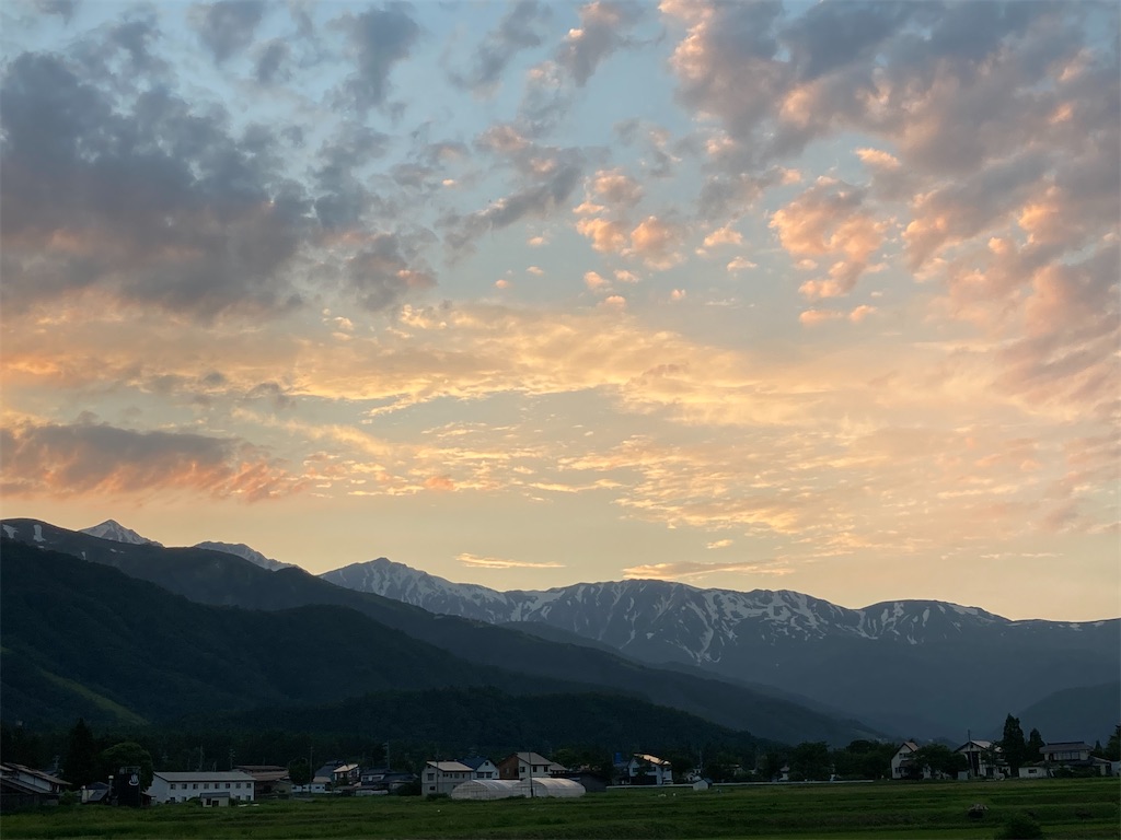 f:id:cactus-hakuba:20210626210911j:image f:id:cactus-hakuba:20210626210911j:image