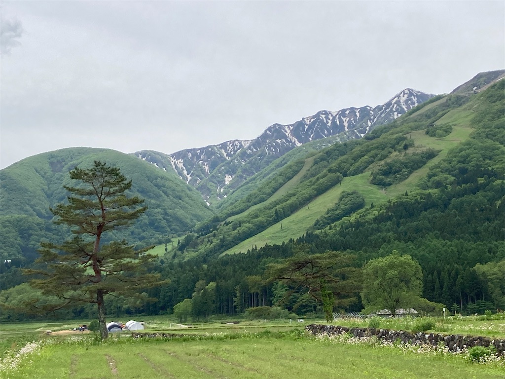 f:id:cactus-hakuba:20210626210932j:image f:id:cactus-hakuba:20210626210932j:image