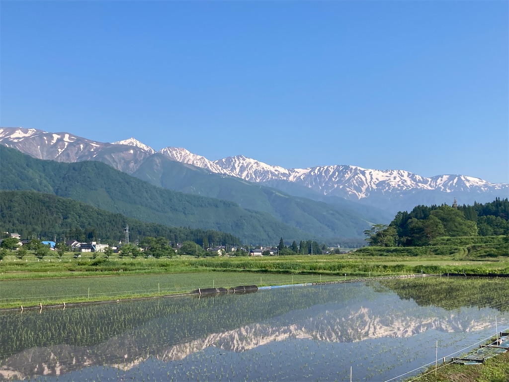 f:id:cactus-hakuba:20210626210939j:image f:id:cactus-hakuba:20210626210939j:image