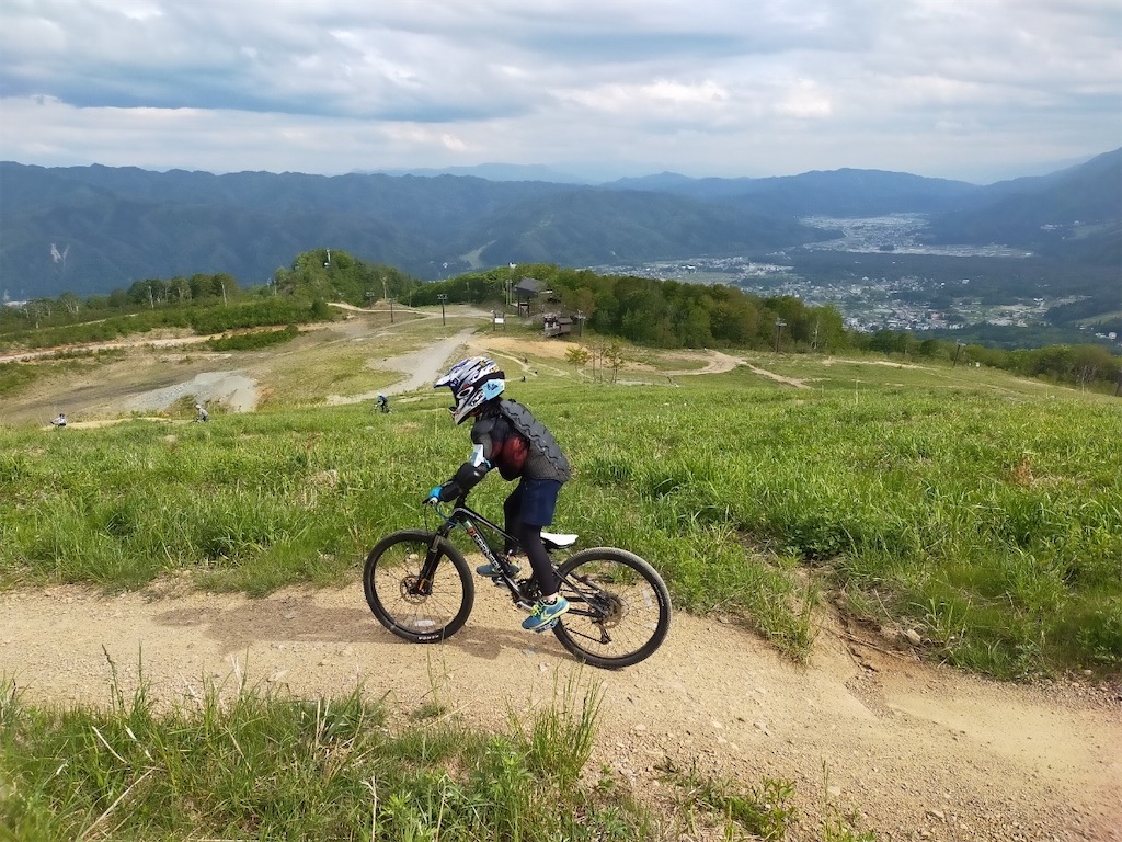 f:id:cactus-hakuba:20210626210945j:image f:id:cactus-hakuba:20210626210945j:image