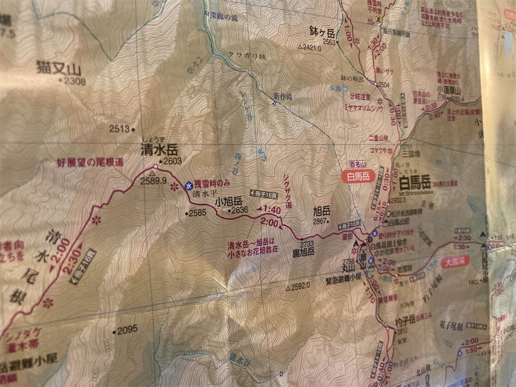 f:id:cactus-hakuba:20210810170110j:image f:id:cactus-hakuba:20210810170110j:image