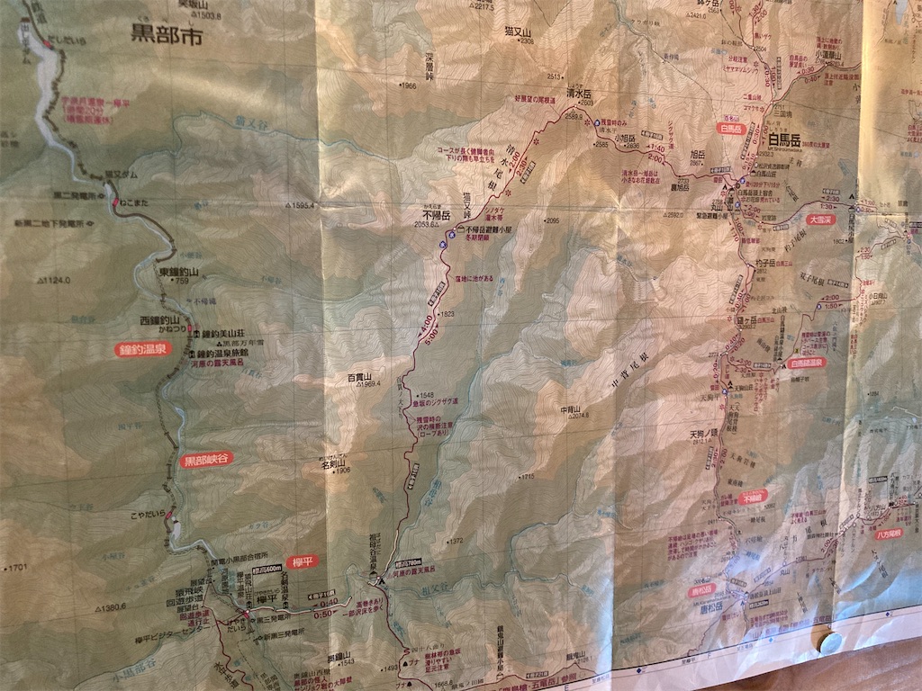 f:id:cactus-hakuba:20210810170113j:image f:id:cactus-hakuba:20210810170113j:image