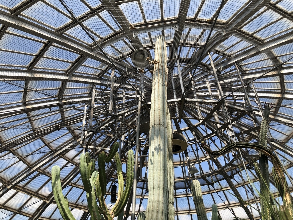 f:id:cactuspower:20181012124458j:plain