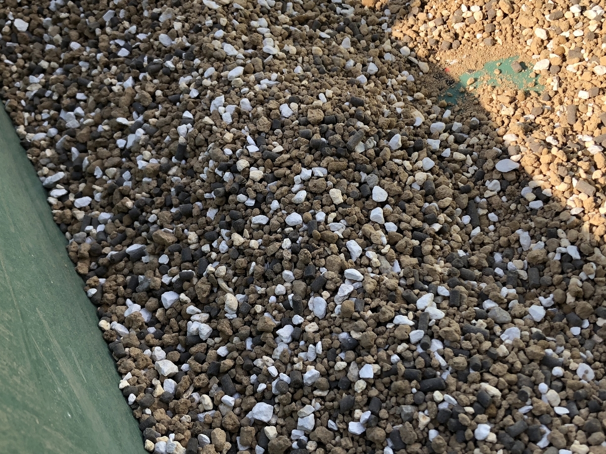 f:id:cactuspower:20200411145808j:plain